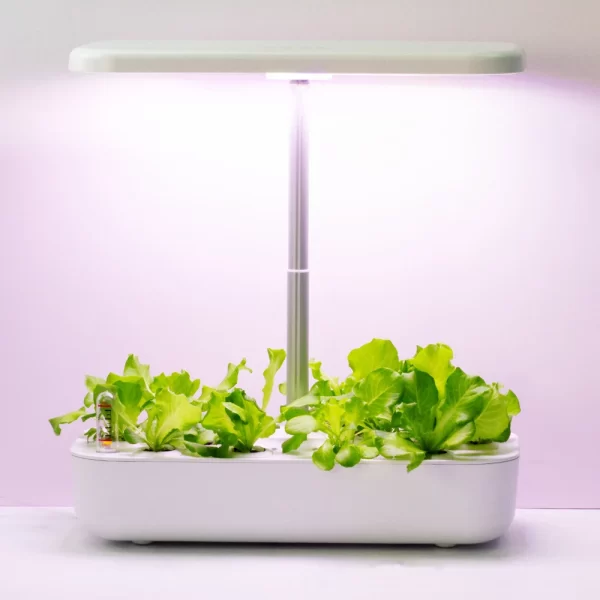 Hydroponic Growing Systems for Home - Image 4